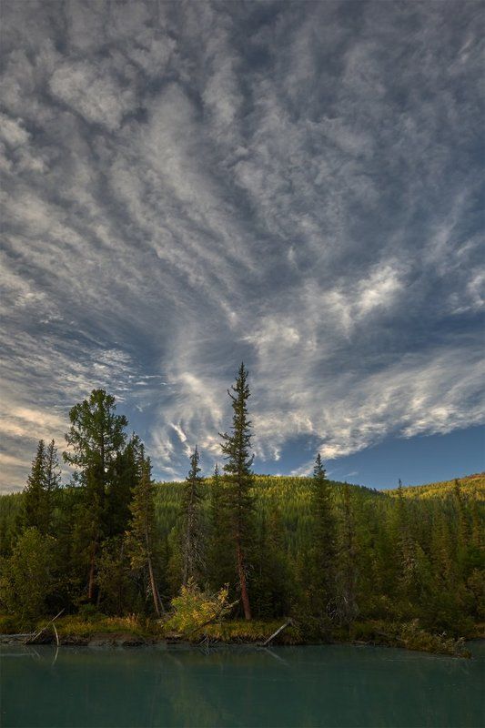 алтай, тайга, плоскогорье укок, коксу, плёс, утро, горнотаежный ландшафт, перисто-кучевые облака Здесь начинается Укокphoto preview