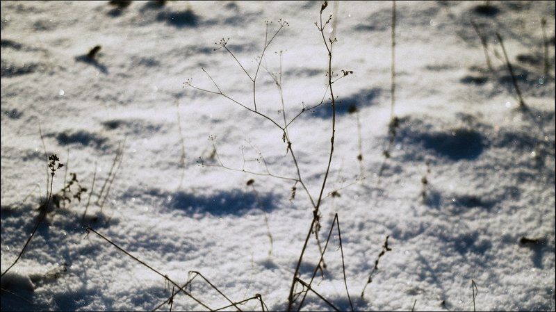 Зимняя графикаphoto preview