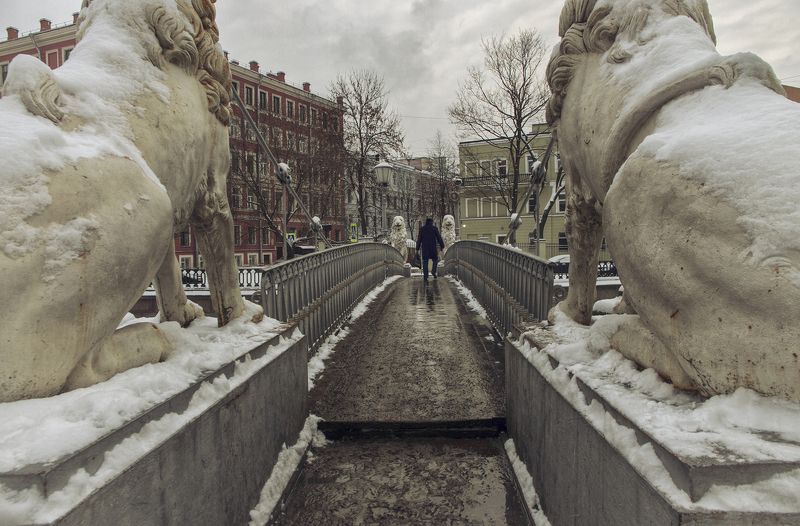 Вошедший в клетку...photo preview