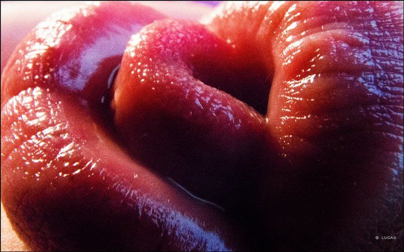 lucas, lucastudio, nude WINDROSE (Роза Ветров) ©2015 фото превью