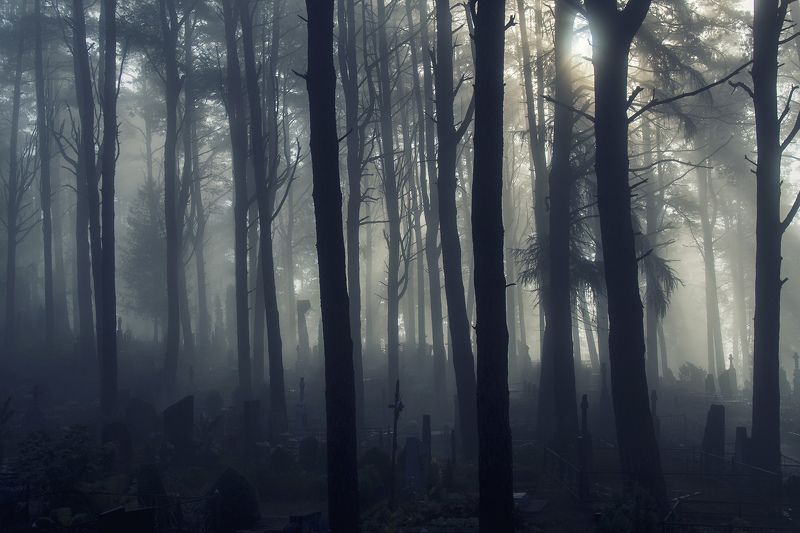 Bечность ...photo preview