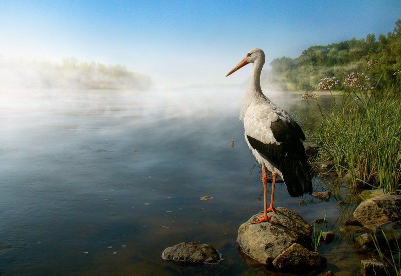 Провожая рассветыphoto preview