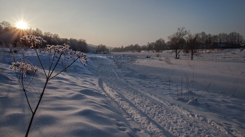 Москва-река, Васильевское, январь. Привет, Зимушка!photo preview