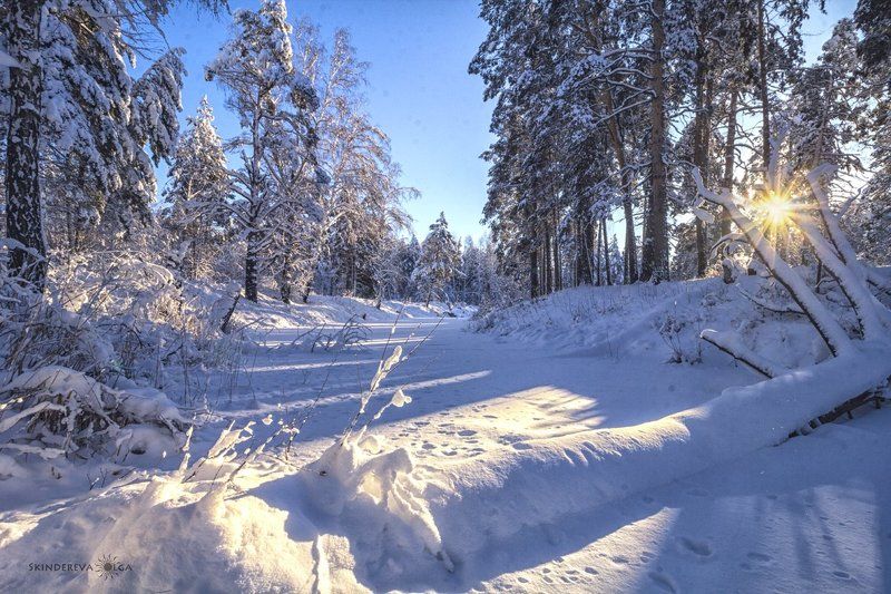 Не страшен нам 30-ти градусный морозphoto preview