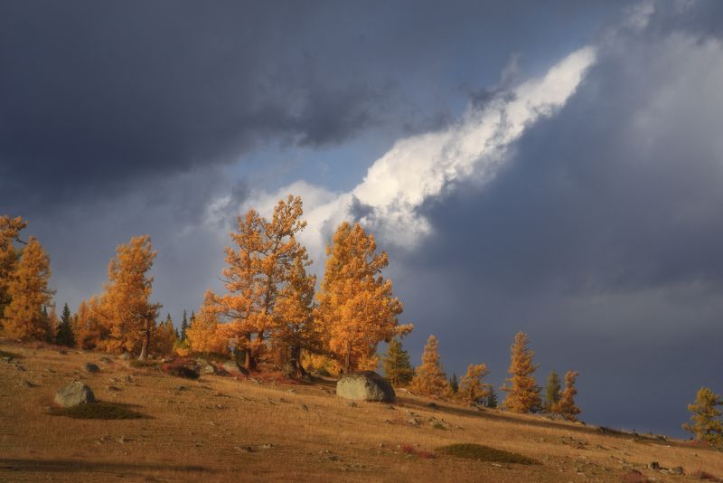 аргут алтай горный алтай джазатор Облачно с прояснениямиphoto preview