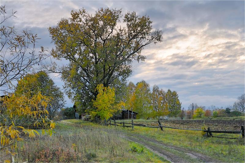 Осенний вечерphoto preview