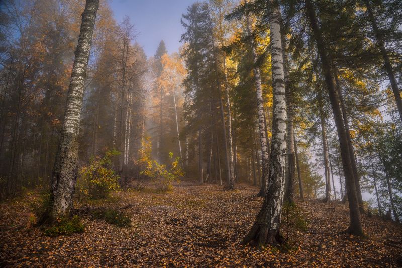 Осенним днемphoto preview