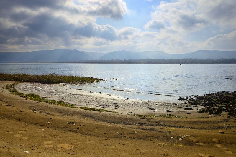 Солнечный берег.photo preview