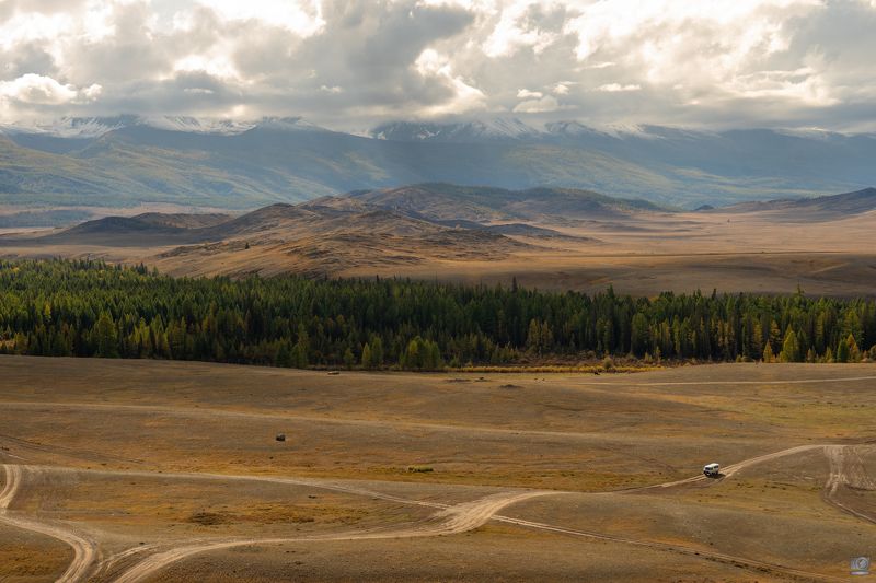 алтай осень краски Курайская степьphoto preview