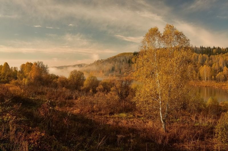 россия, кузбасс, подкатунь, осень, октябрь, утро, деревья, лес, река, холм Октябрьская осеньphoto preview
