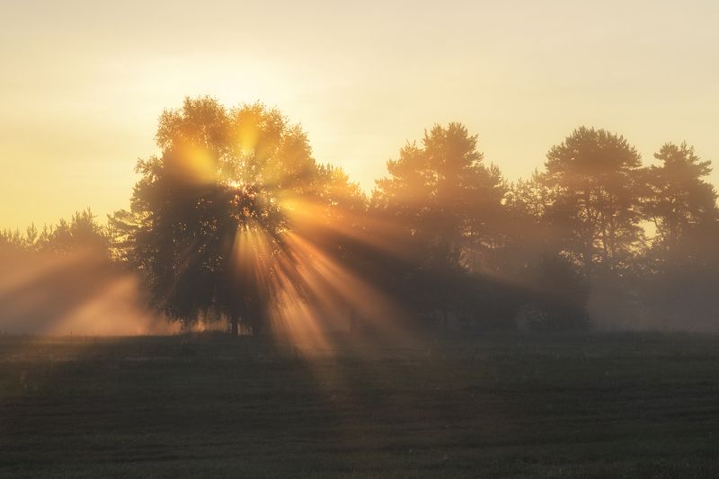 На рассветеphoto preview
