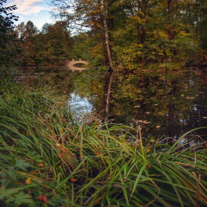 александрия, пейзаж, петергоф, landscape, сергиевка, ленобласть, ленинградская область Вечер в Сергиевкеphoto preview