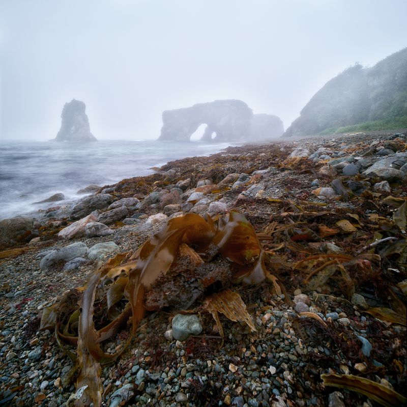 Сахалин Птичий photo preview