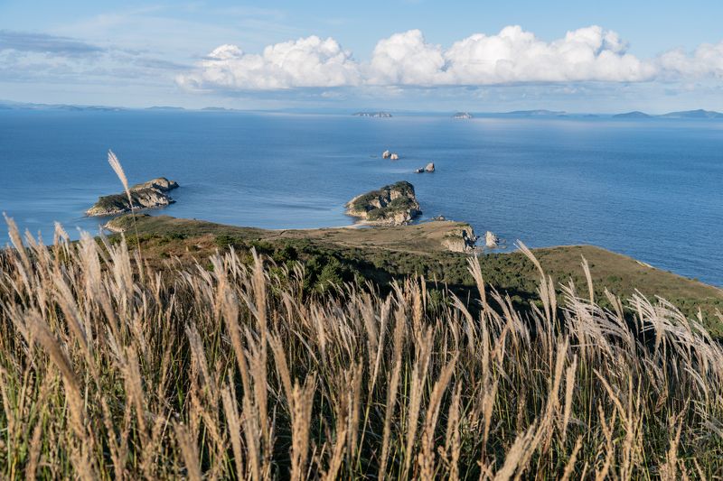 россия, приморский край, приморье, японское море, полуостров гамова, бухта спасения Приморье фото превью