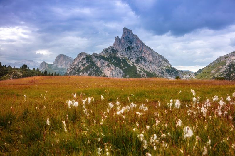 alps, mountains, italy, autumn, dolomites, autumn grasses a breath of autumn...photo preview