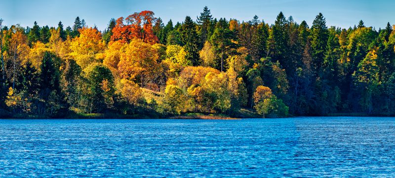 Октябрь месяц грусти и простуд.photo preview