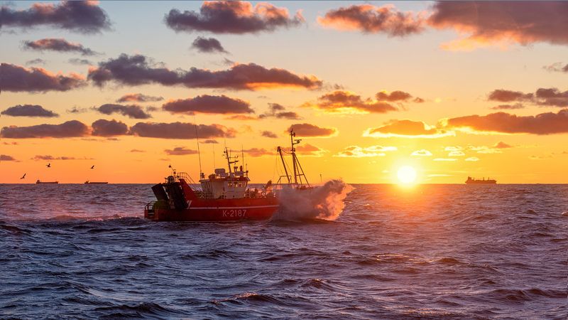 С ветерком фото превью