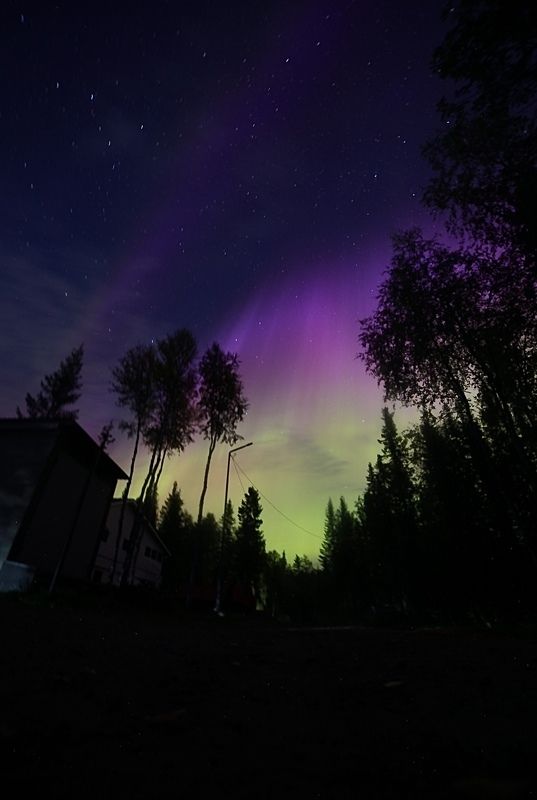 сияние, северное сияние, лес, магнитная буря, ночь, звезды, деревья, небо «Вспышка в ночи»photo preview