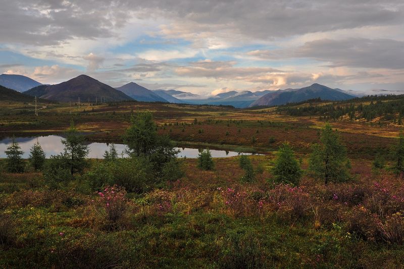 По дороге на Самартуphoto preview