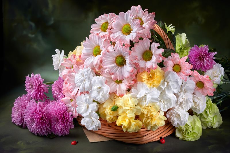 Blossomphoto preview