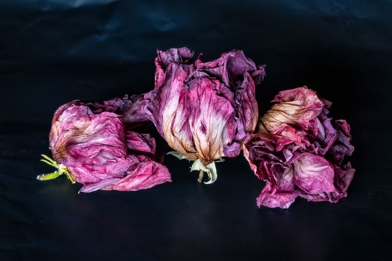 цветы Фиолетово-чёрныйphoto preview