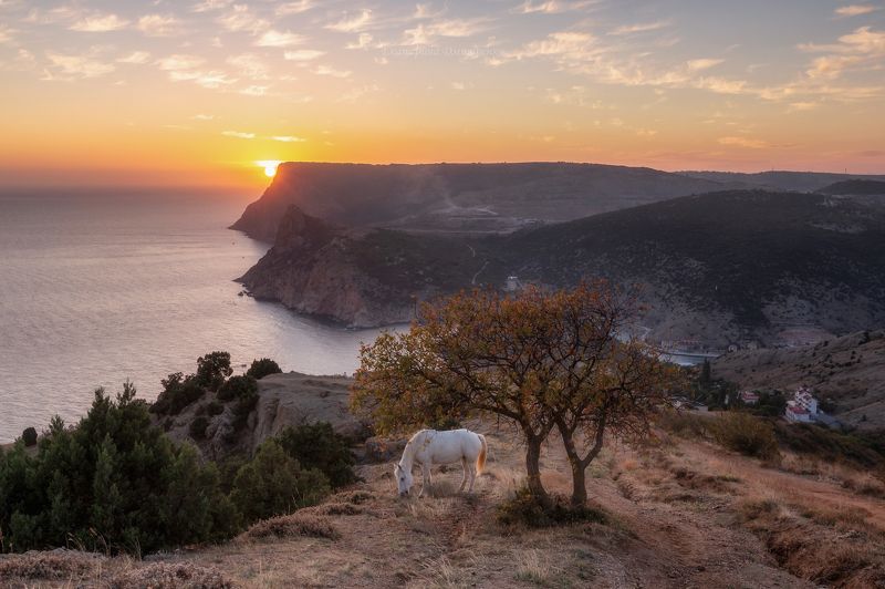 крым, пейзаж Балаклавская идиллияphoto preview