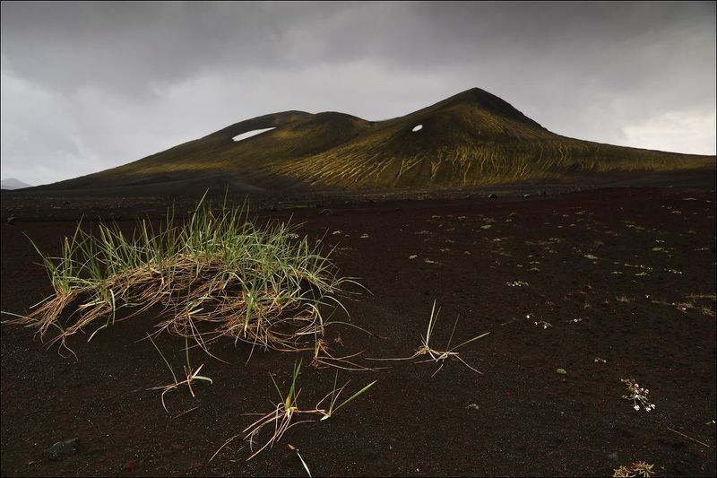 Перед дождемphoto preview