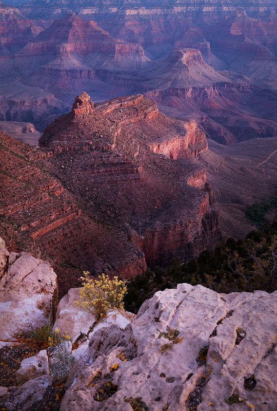 Grand Canyon, Red rocks, sunset, Azirona The Castlephoto preview