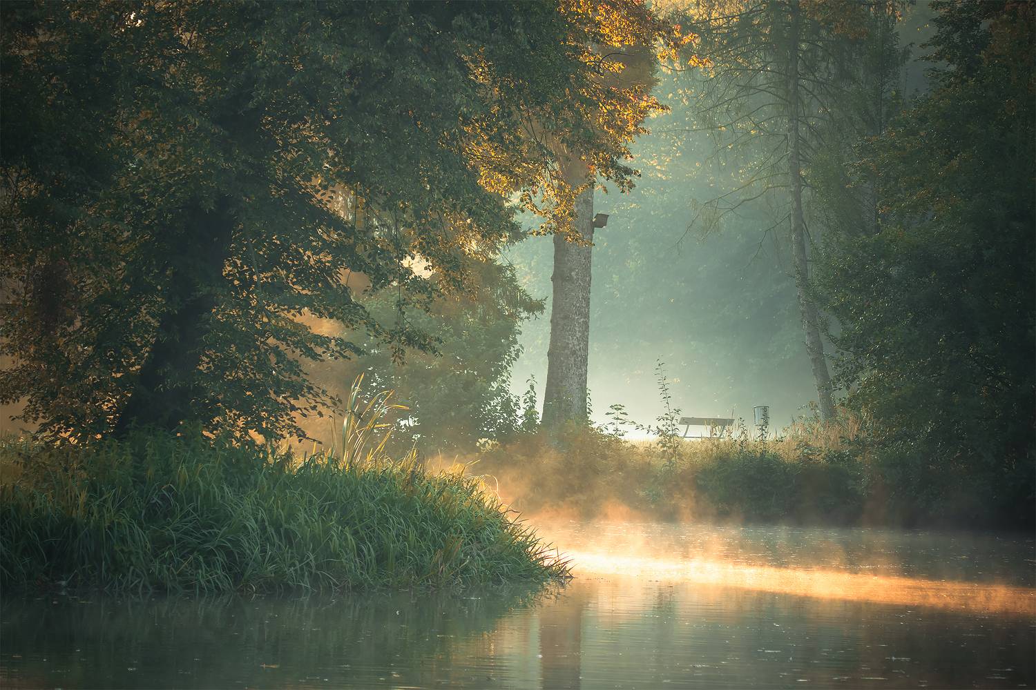 Garden. Автор: Adamec Robert , Adamec Robert