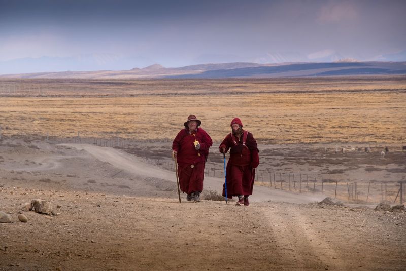 тибет, кора, кайлас, tibet, kailash, нд, тибет 2024 Возвращениеphoto preview