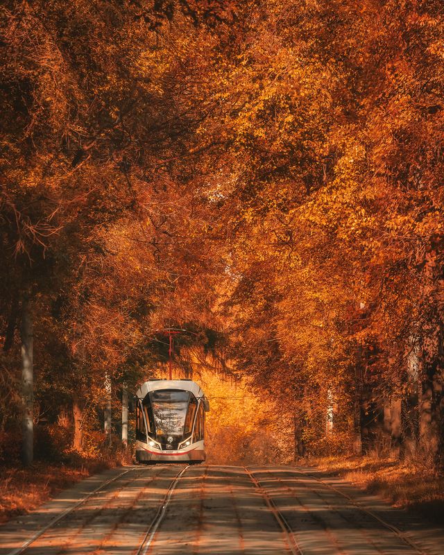 autumn, москва, осень, трамвай, Сокольники, Измайлово, moscow, транспорт  фото превью