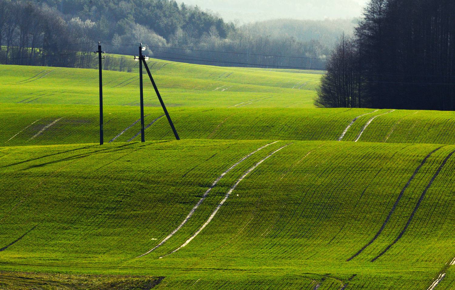 Гродненские горки. Автор: Dzmitry Hurynovich , Dzmitry Hurynovich
