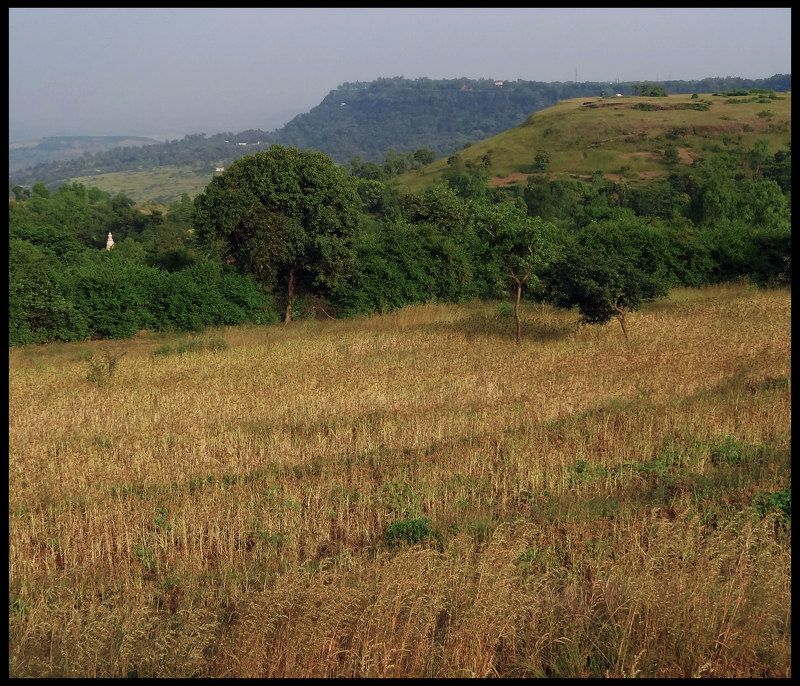 sony, landscape, basic, basic shots, captures, cybershot, sonycybershot, sony alpha, Masai Plateau - 2014 photo preview