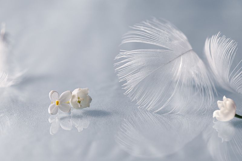 close-up Расставание.... фото превью