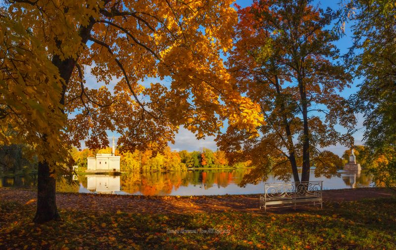 питер, пушкин, царское село, царское,  landscape, tsarskoye selo, autumn,  городской пейзаж, санкт-петербург, рассвет Парад осени в Царском Селеphoto preview