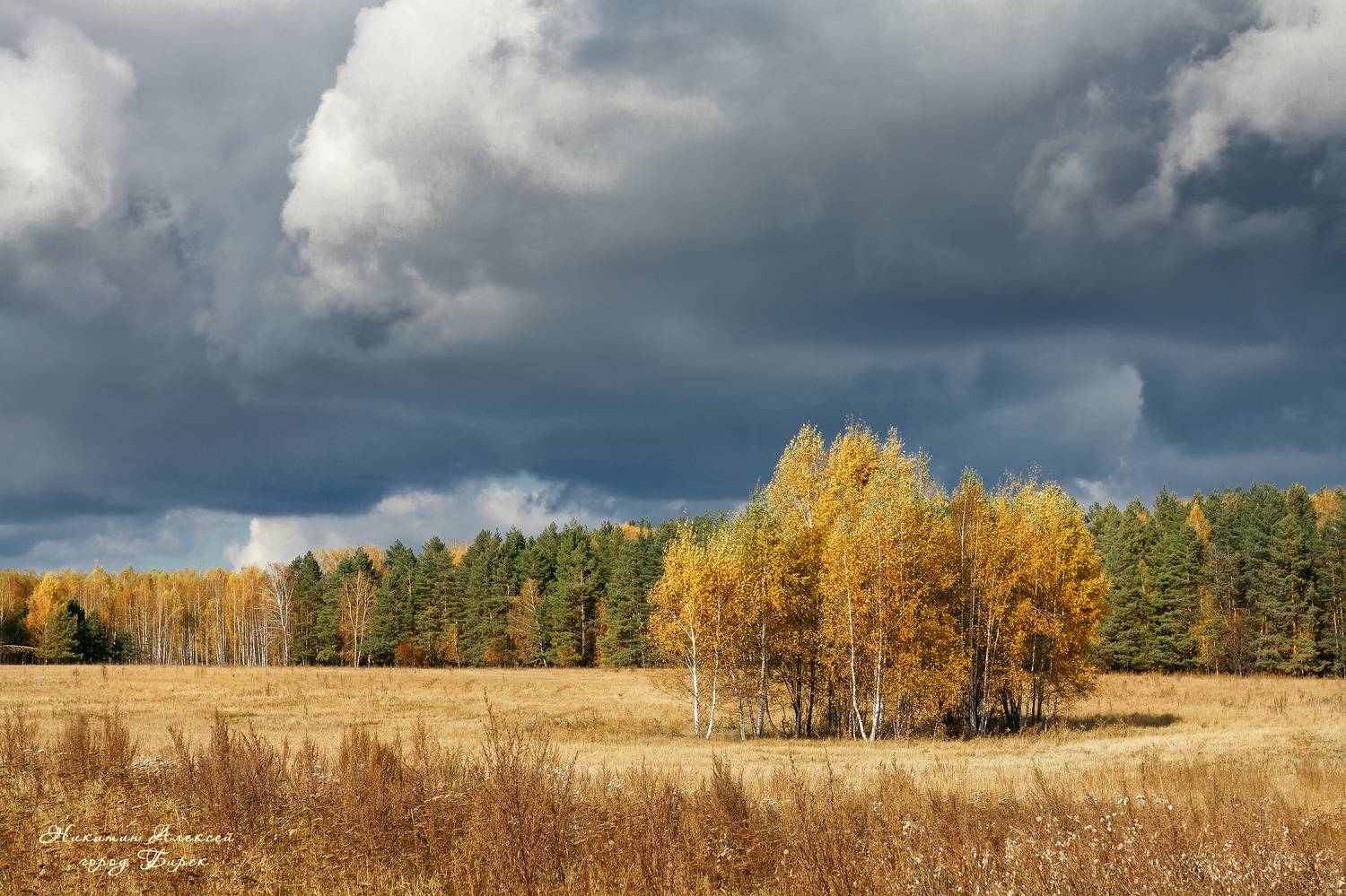 Автор: Никитин Алексей , Никитин Алексей