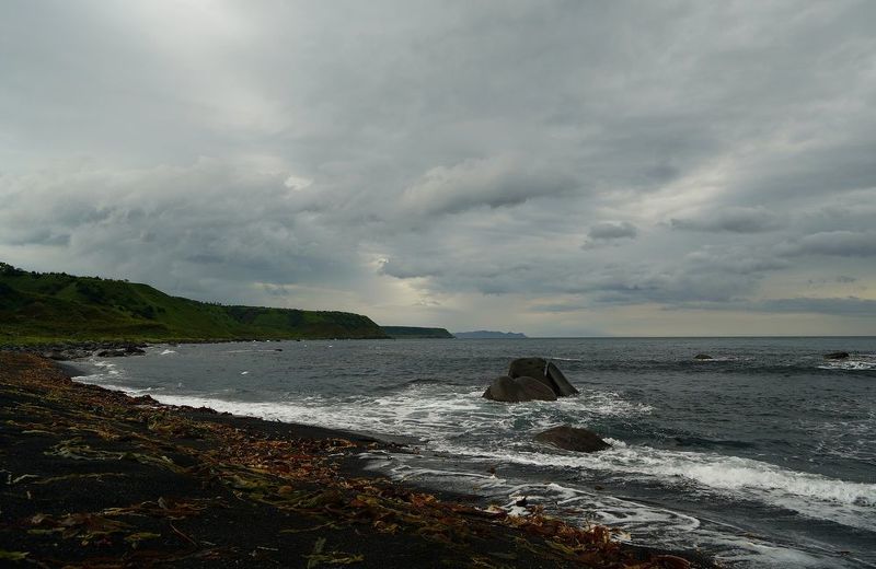 Morningphoto preview