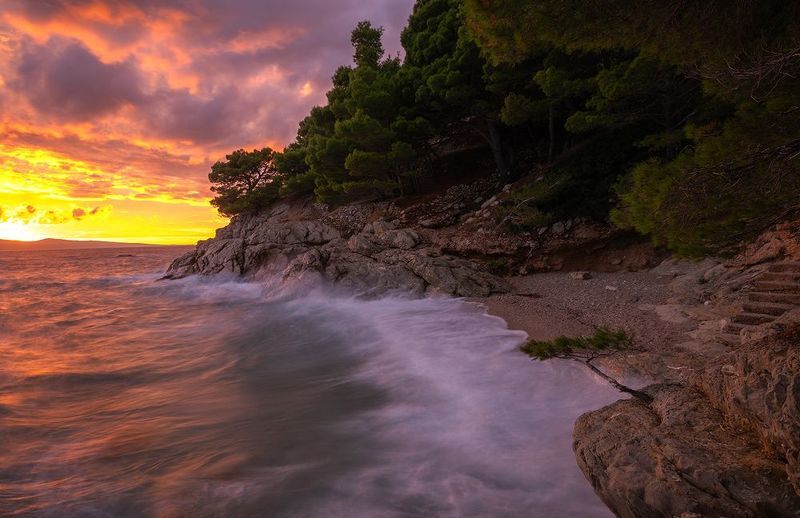 fight alonephoto preview