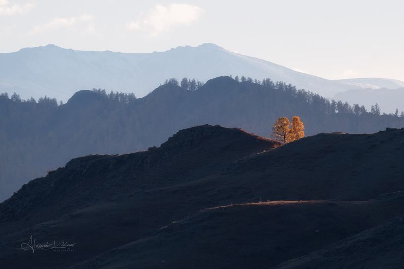 пейзаж,алтай Осенние градиенты... фото превью