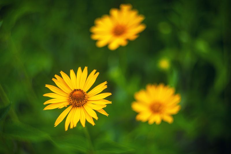 Мир цветовphoto preview