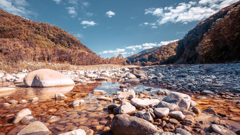 Жизнь камнейphoto preview