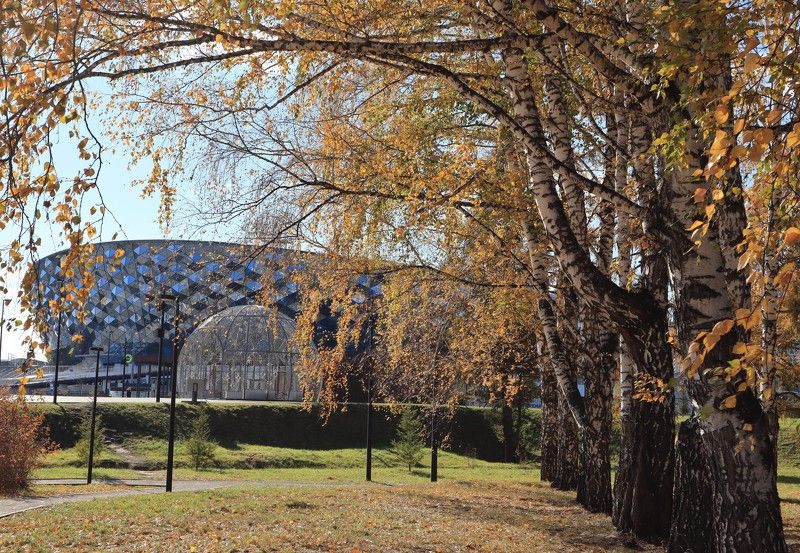 новосибирск,парк,осень,берёзы,ледовый дворец Берёзыphoto preview