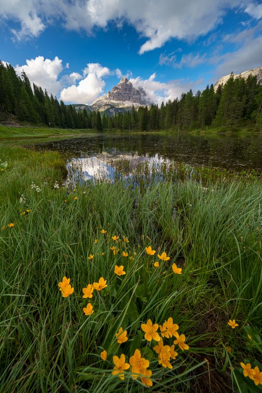 italy, dolomiti, mountains, landscape, lake, mirror, nature, flowers, cloud  Tre Cime di Lavaredophoto preview
