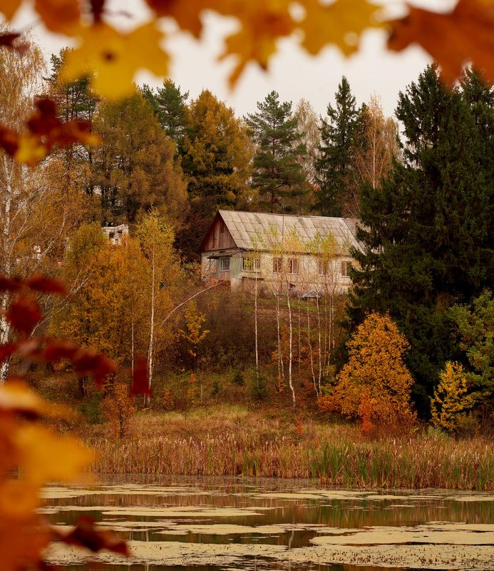 #landscape #autumn #пейзаж #осень Домик у озераphoto preview
