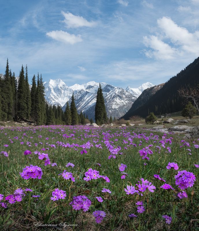 Кыргызстан, Киргизия, фототур в Киргизию Лето фото превью