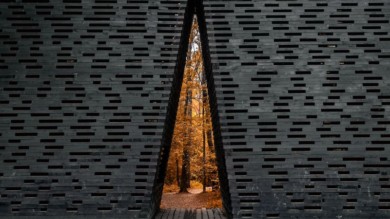 Вход в осеньphoto preview