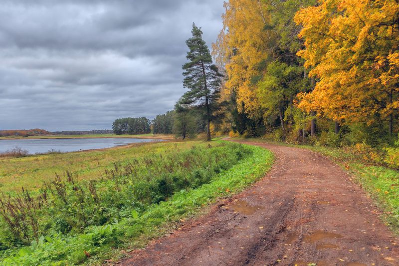осень в Михайловскомphoto preview