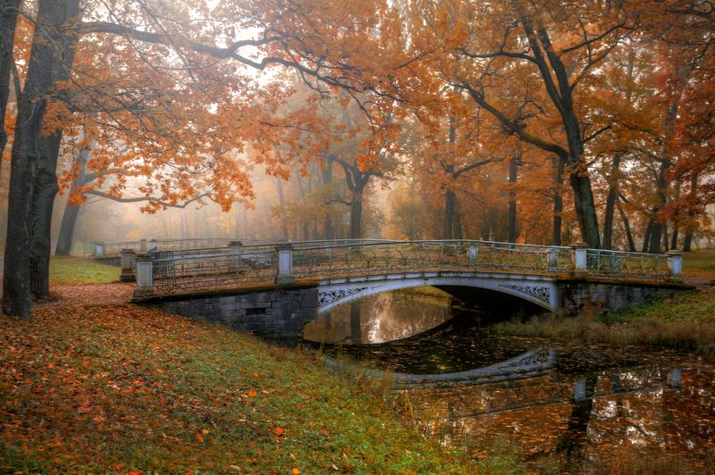 в осеннем парке...photo preview