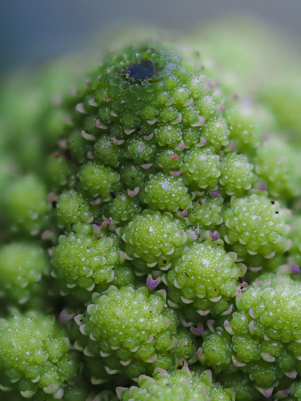 A macrocosm volcano \\ Вулкан макромираphoto preview
