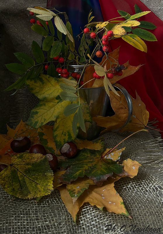 ну вот и осени конец...photo preview